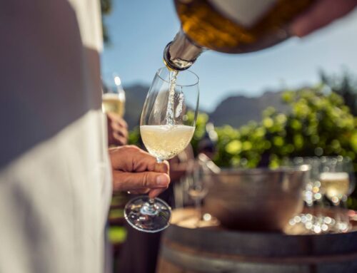 Gansbaai Wine Tours