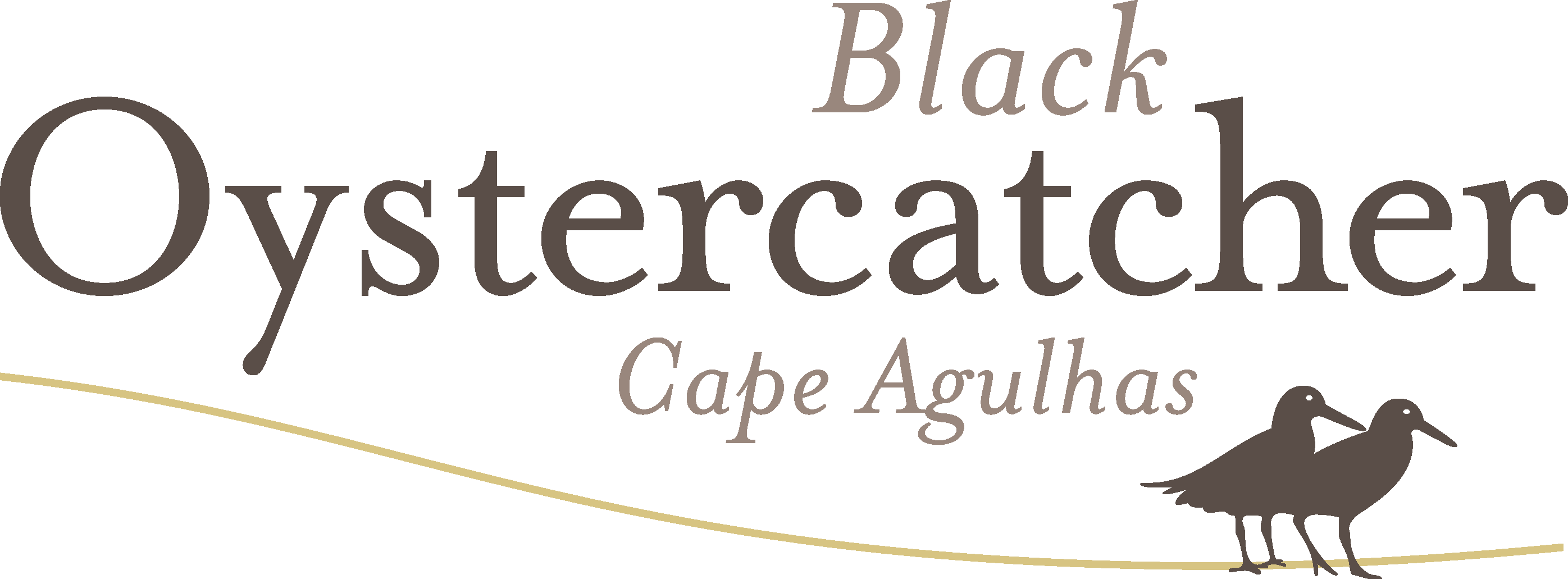 logo black oystercatcher