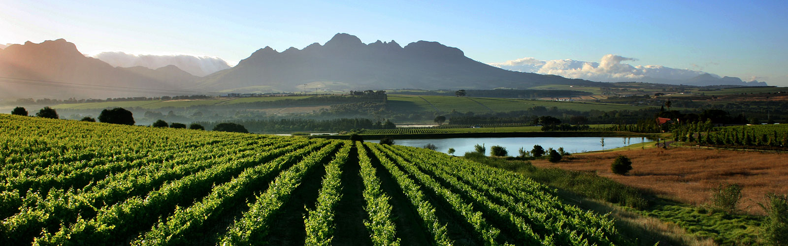 Agulhas-Wine-Route