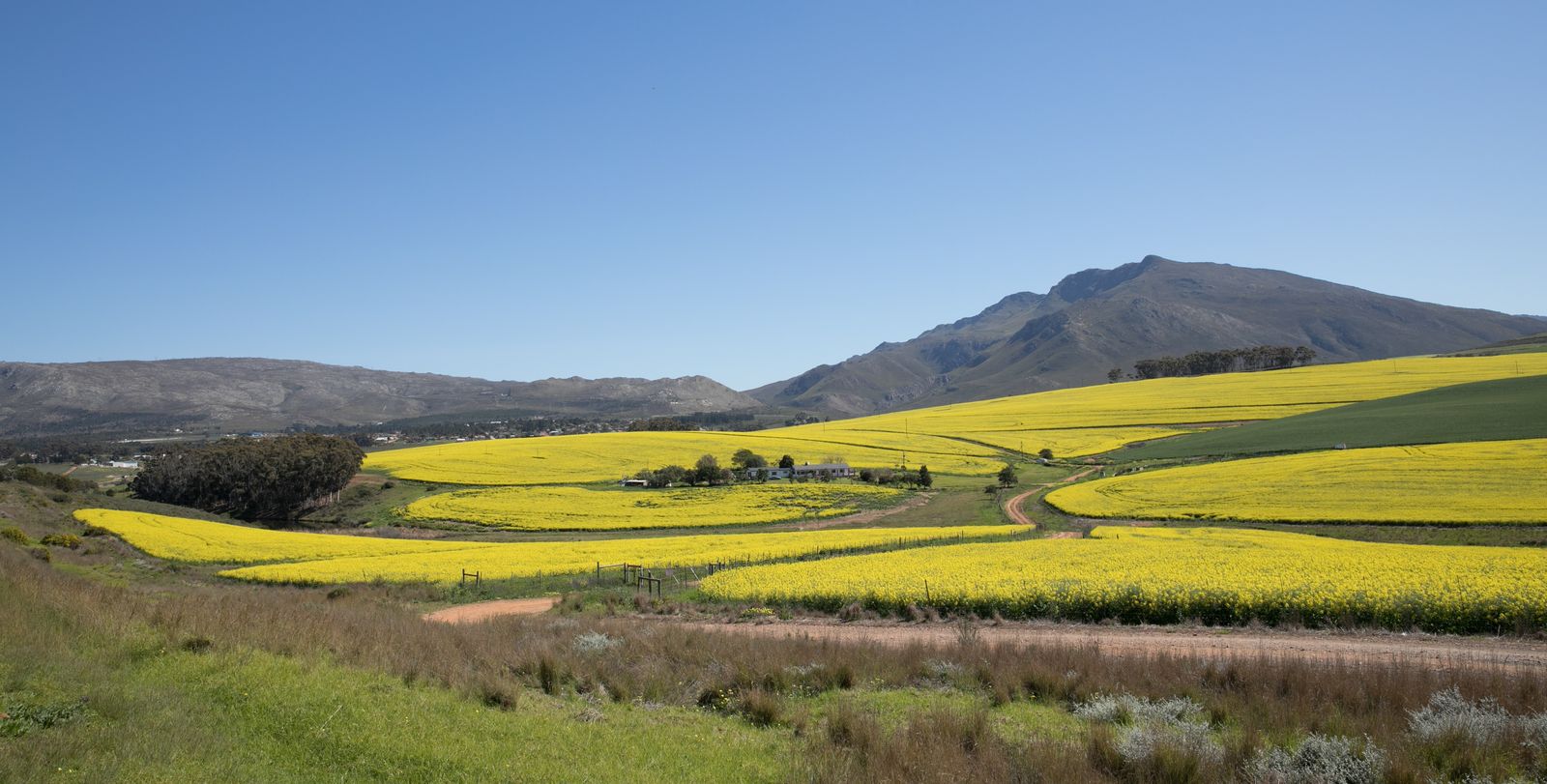 BOT-RIVER-WINE-REGION