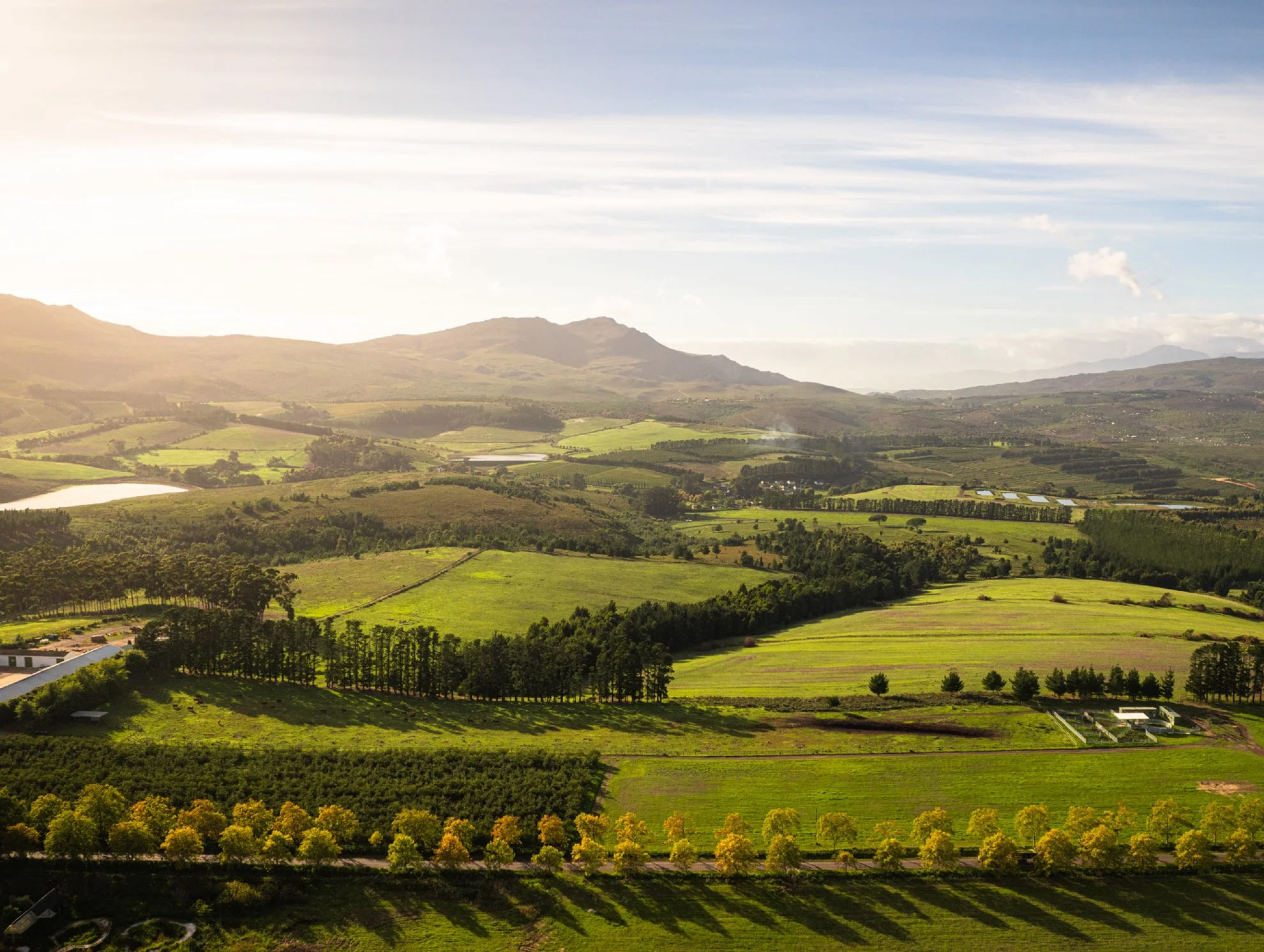Elgin-Wine-Route