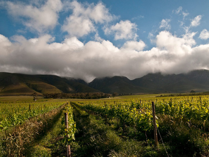Stanford-Wine-Route